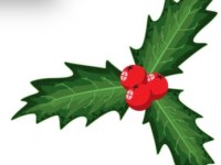 On tire les&nbsp;rois